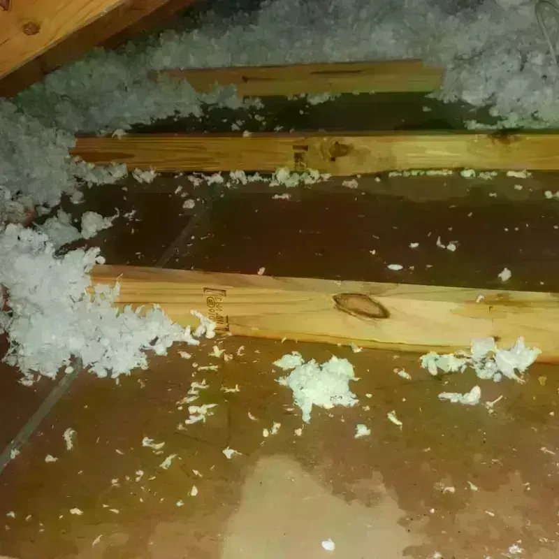 Best Attic Water Damage Service in Kingston Springs, TN